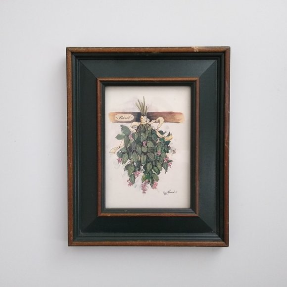 Peggy Abrams Wall Decor Peggy Abrams Illustrated Basil Print In
